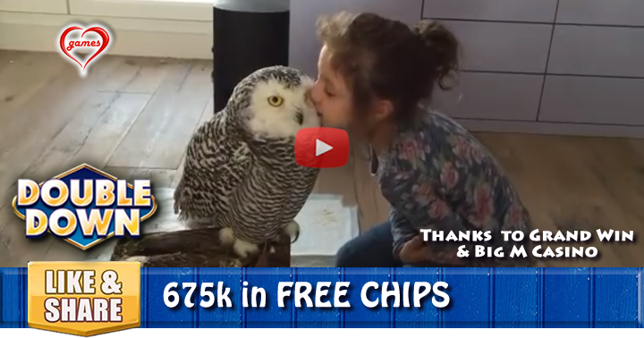 owl-kisses-2