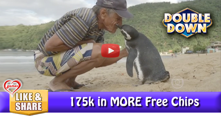 penguin-traveler-2