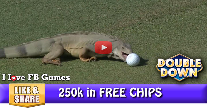 PGA-tour-animals-2