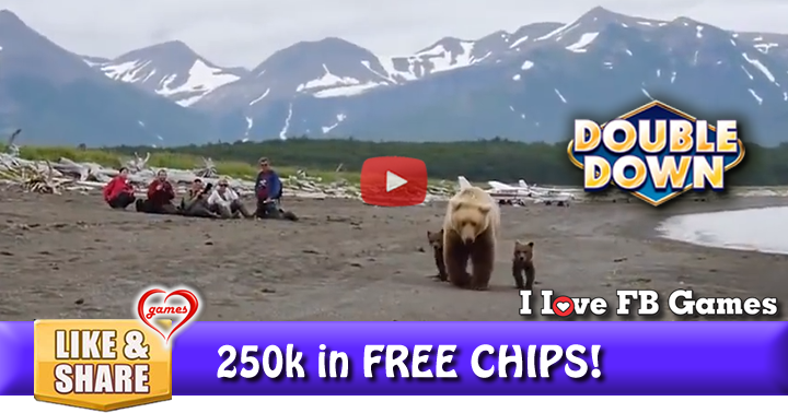 bear-beach-2