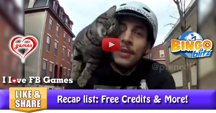 biking-cat-cat-2