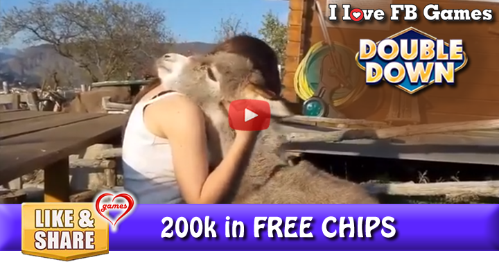 donkey-hug-2