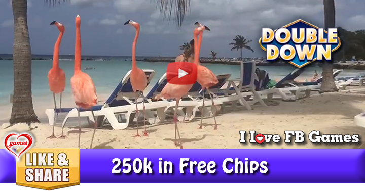 flamingo-beach-2
