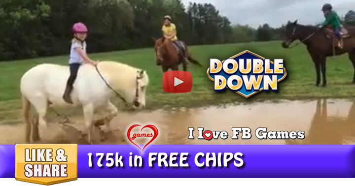 horse-mud-3