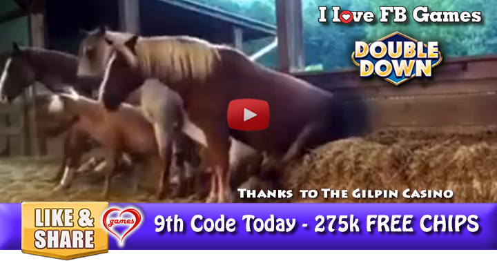 horse-sitting-2
