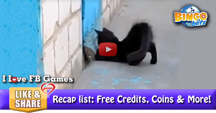 kitty-hero-2