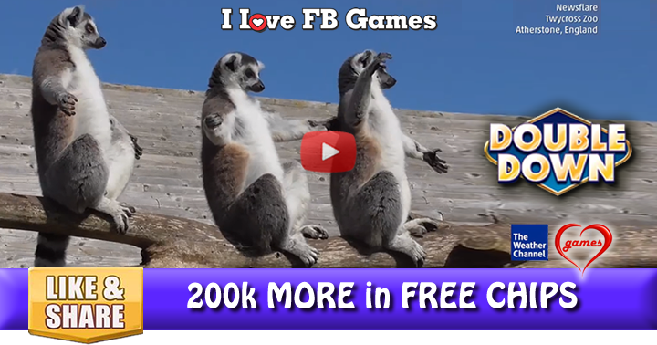lemurs-sun-3