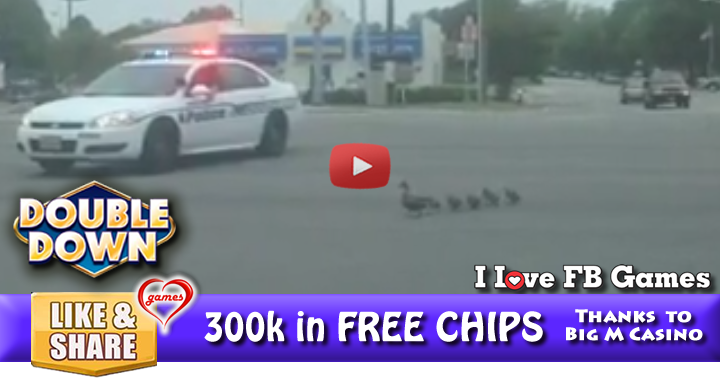 police-duck-escort-2