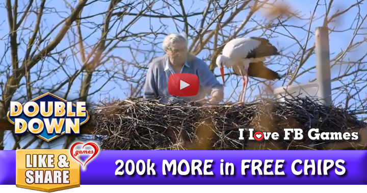 stork-rescue-2