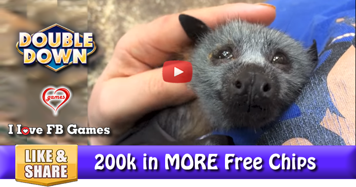 baby-bat-2