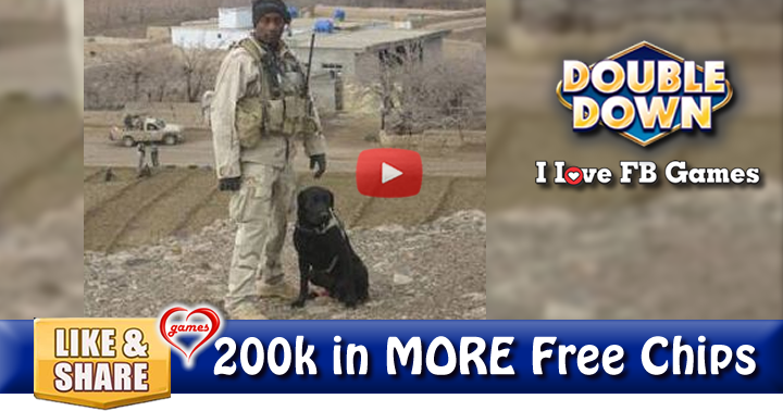 bo-military-dog-3