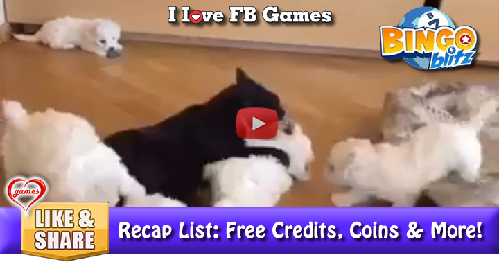 cat-cotton-ball-puppies-2