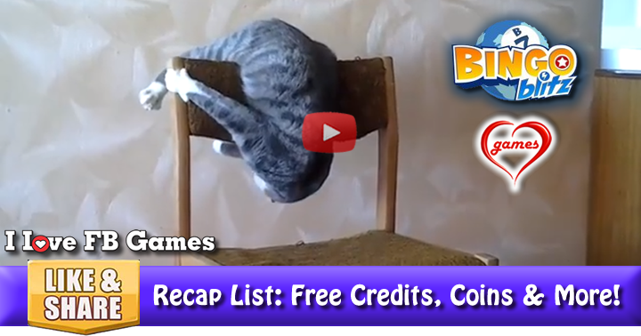 cat-gymnast-3