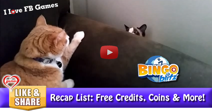 cats-compile-3