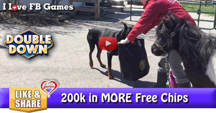 doberman-helps-2