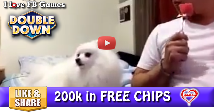 dog-man-eat-2