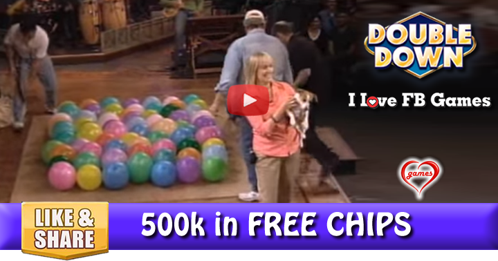 dog-v-balloons-2