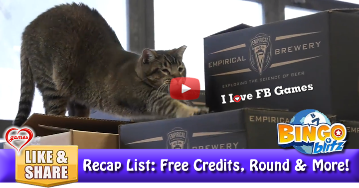 feral-cat-brewery-2