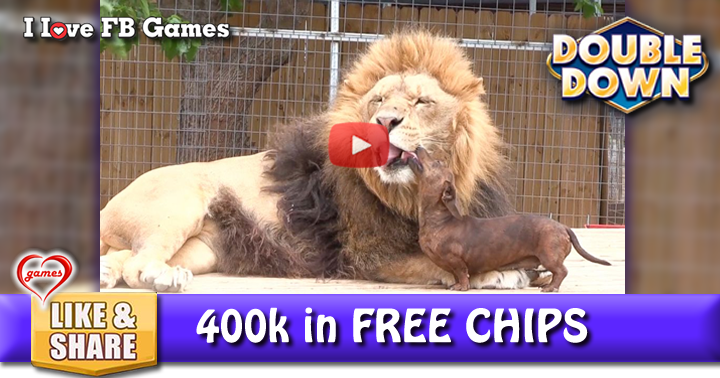 lion-wiener-dog-2