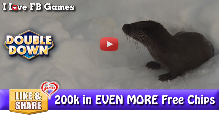 otter-visit-2