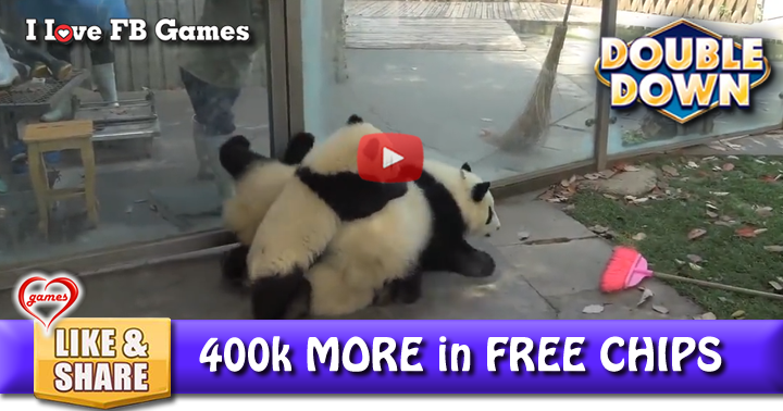 panda-keeper-2