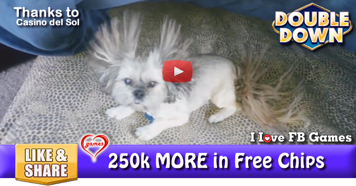 static-friz-2