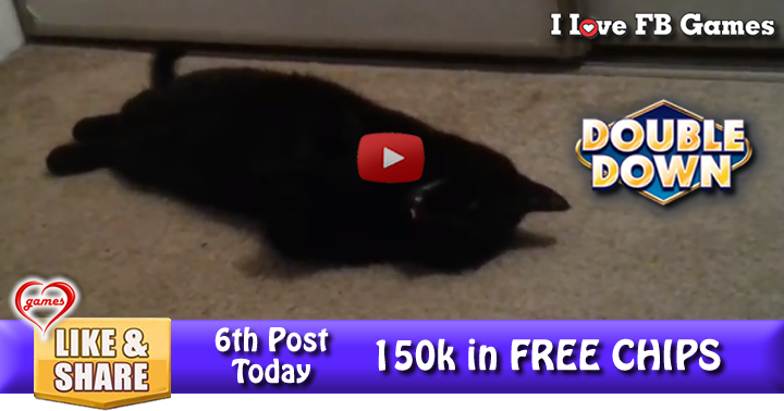 talking-cat-2