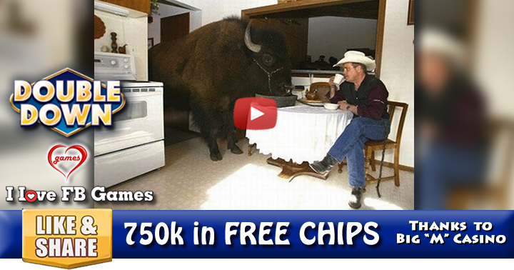 buffalo-home-2