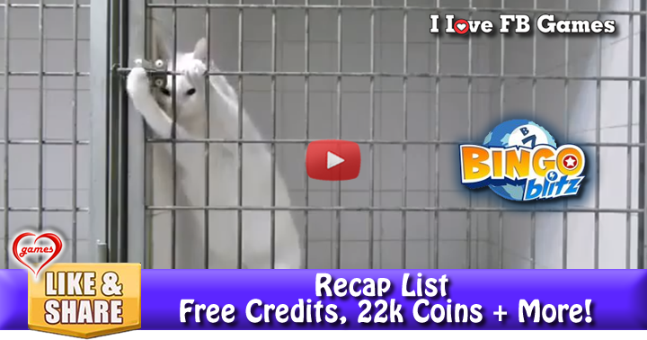 cat-escape-3