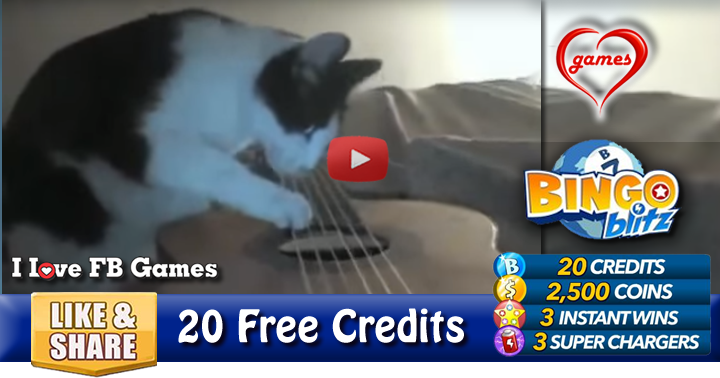 cat-guitar-2