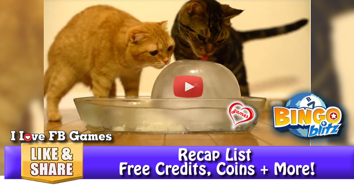 cat-iceball-2