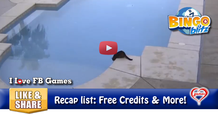 cat-pool-push-2