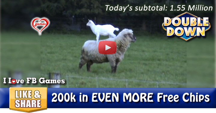 goat-ram-2