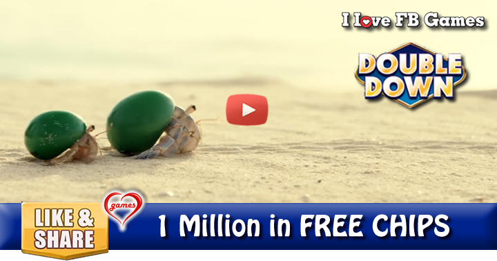 hermit-crab-homes-2