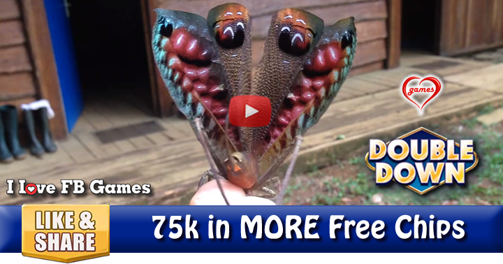 mask-moth-2