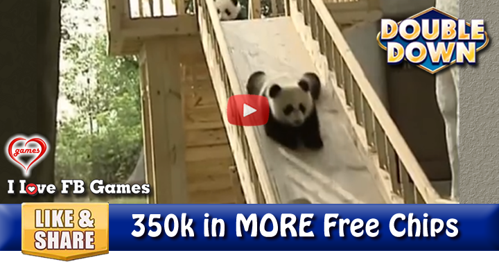 pandas-slide-2