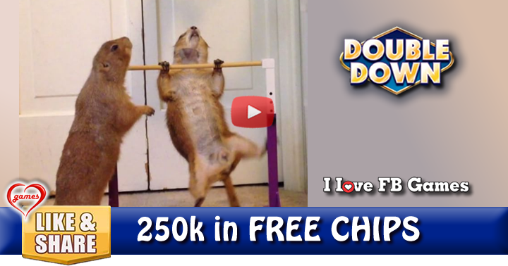 prairie-dog-donut-2