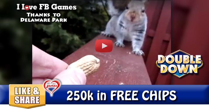 slow-mo-squirrel-2