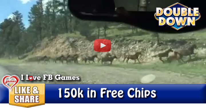 wild-horse-play-2