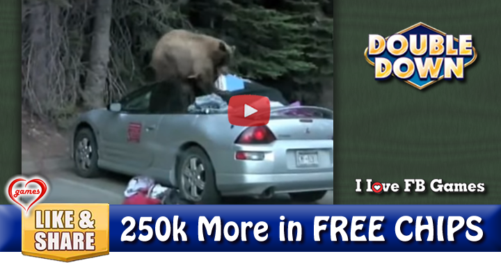 bear-rag-top-2