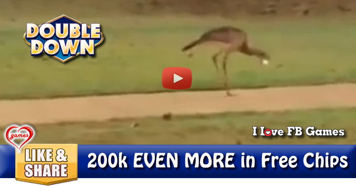 bird-golf-ball-3