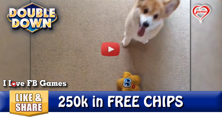 corgi-game-2