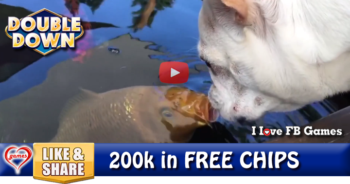 dog-and-fish-kisses-2