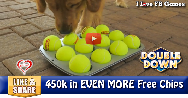 dog-brainteaser-2