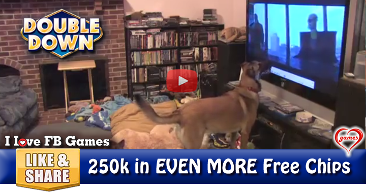 dog-movie-2