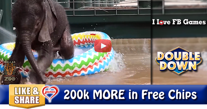 elephant-baby-pool-4
