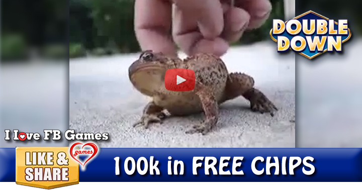 frog-rub-2