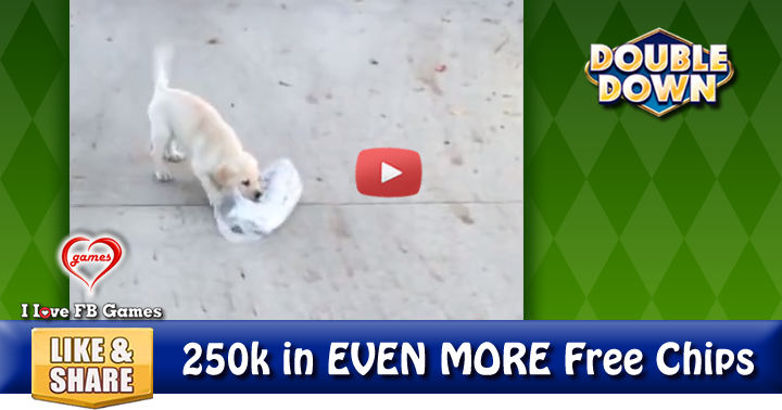 funny-papers-puppy-2