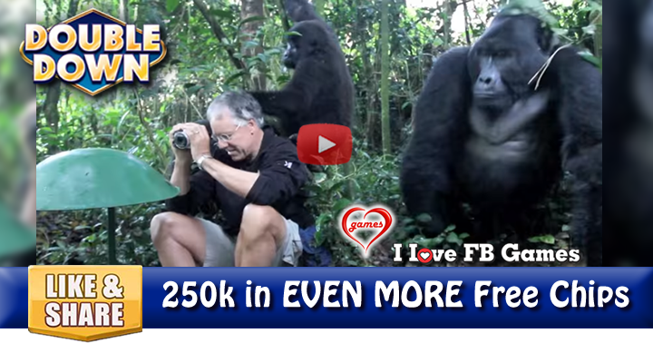 gorrilla-encounter-2