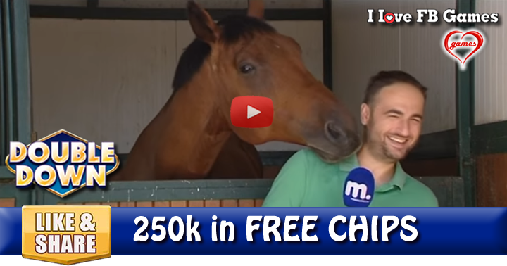 racehorse-love-2